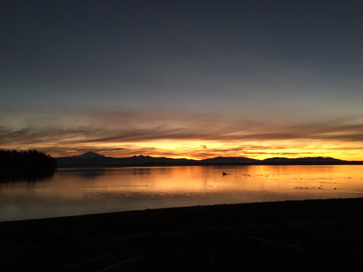WildSalmon7's tweet photo. Back yard beach sunrise in the PNW coast! https://t.co/jIaAiV8WC3