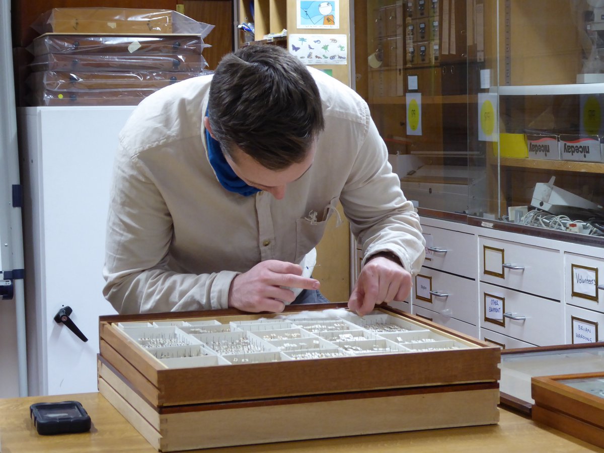 CWACReading's tweet photo. Excellent #MScEntoRes trip to @morethanadodo on Tuesday. Thanks all especially @EntoAmo for your kind welcome. @Arronwatson86 https://t.co/vmSQ3PX7pL