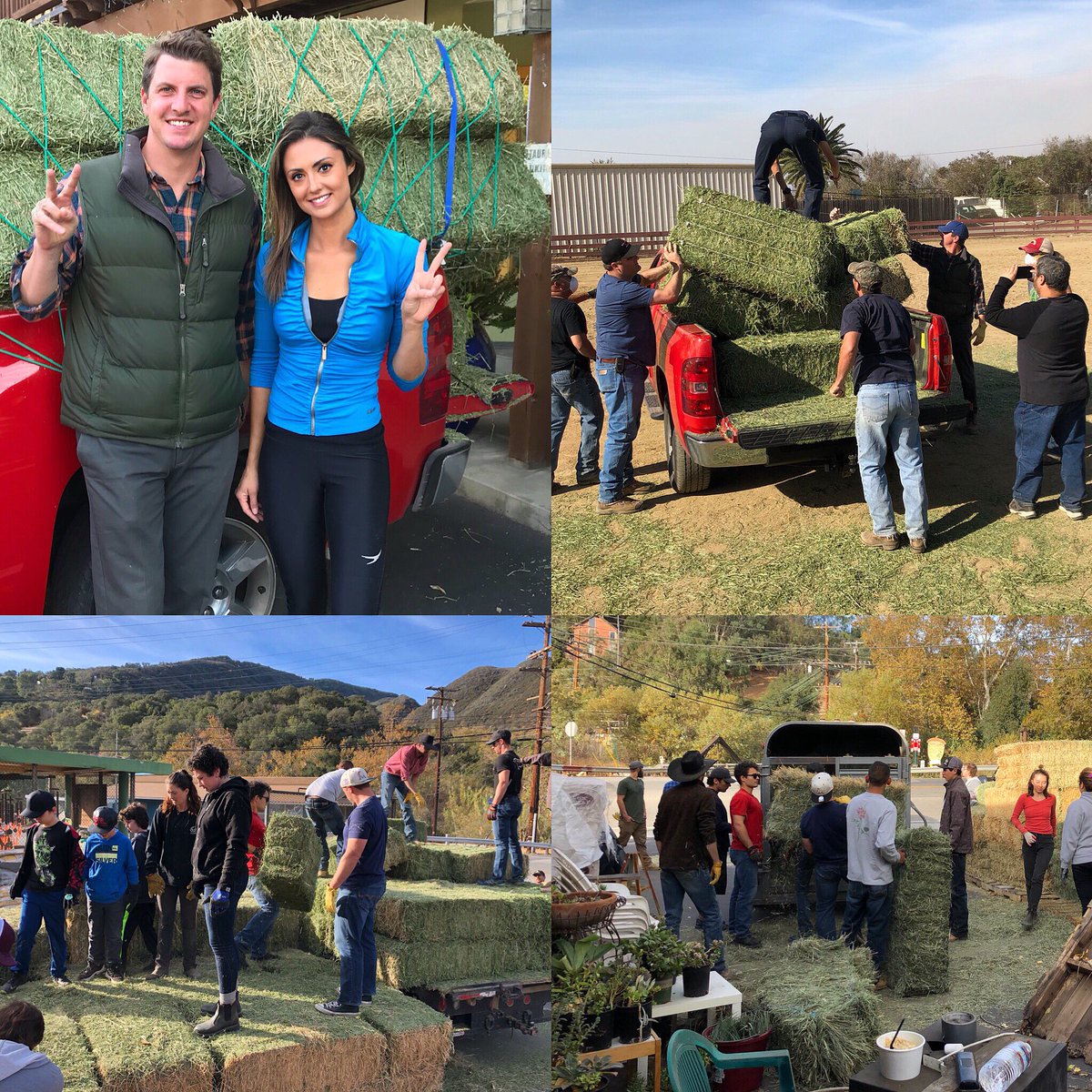 WorldAnimalNews's tweet photo. Thanks for donating! The trucks were loaded with 200 bales of hay, fly masks &amp; troughs for the horses rescued from the CA #wildfires in #Ventura. Thanks to volunteers, #SenatorHenryStern &amp; @SocialCompassio for partnering with our charity @peace_4_animals to make it happen! 🙏💛🐴 https://t.co/dqIrP6b4WW