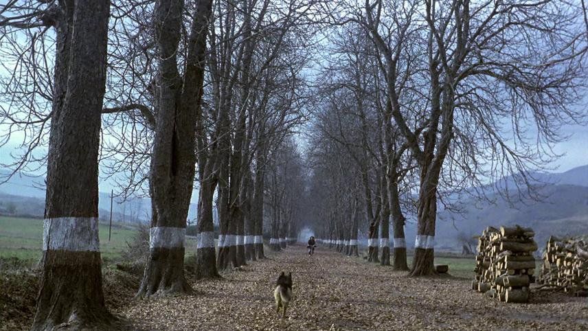 EL SUR (1983) 

Director of Photography: José Luis Alcaine 
Director: Víctor Erice 
More Shots: bit.ly/2zUdqnY