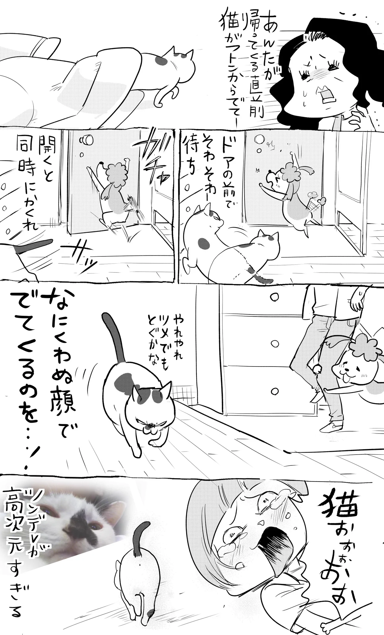 まさにツンデレ！甘え上手な犬に対して壊滅的に下手な猫にキュンキュンするｗ