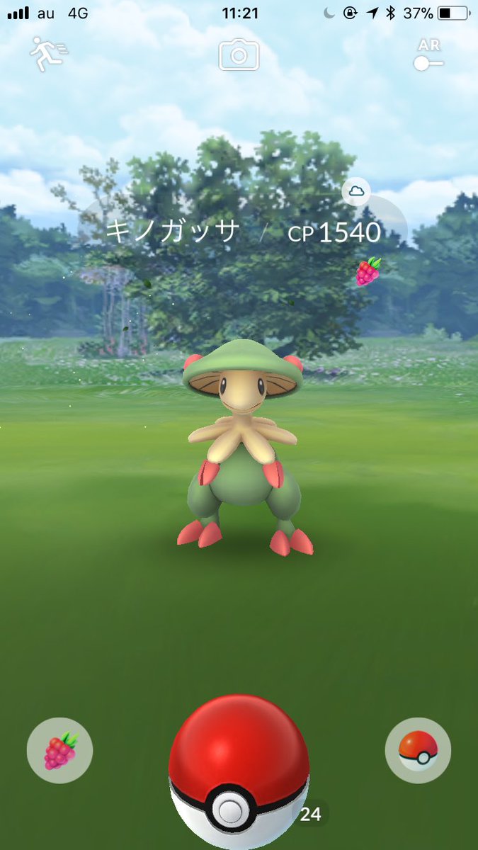 ポケモンgo キノガッサは近い内にカイリキー軍団に混じってレイドで見かけそうだな ポケモンgo攻略まとめ速報