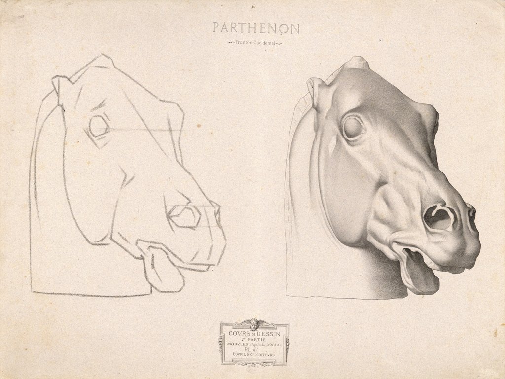 セレネの馬＋静物】鉛筆石膏デッサン 大英博物館2 | Plants on Vellum