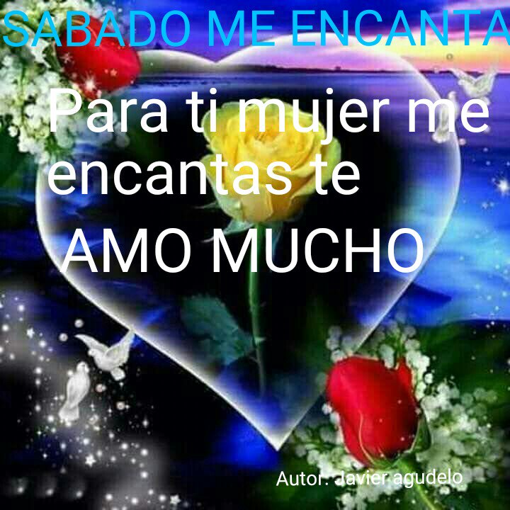 EL_SEGUIDOR2015 tweet picture