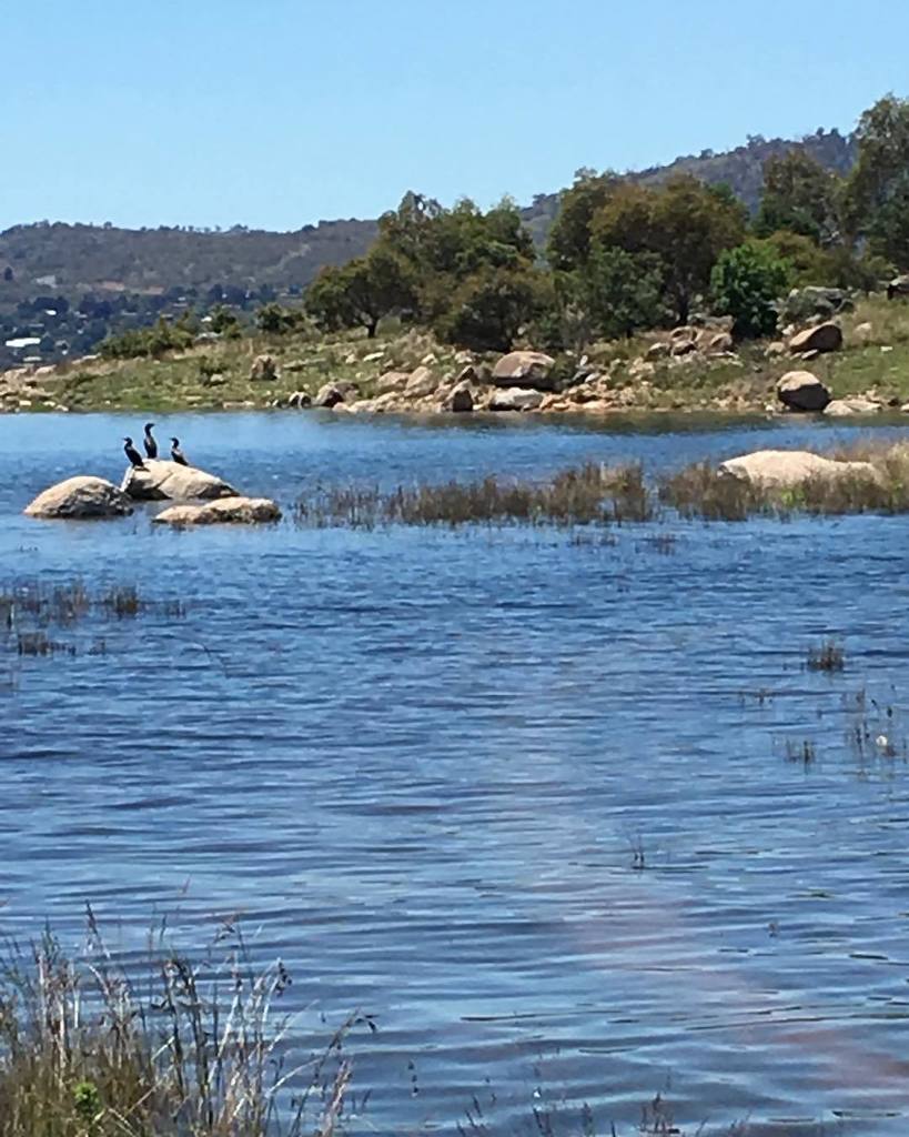LoveOfJindabyne's tweet photo. The lake is really up at the moment. The path out to the point is waist deep. A mixture of bath warm water and cooler down under. So refreshing but now I’ll have to dry off. #notprepared #forgotmycozzie #lovejindy #jindabyne #seethepath? https://t.co/qLg8nmCDUq https://t.co/VO9iP07QvJ