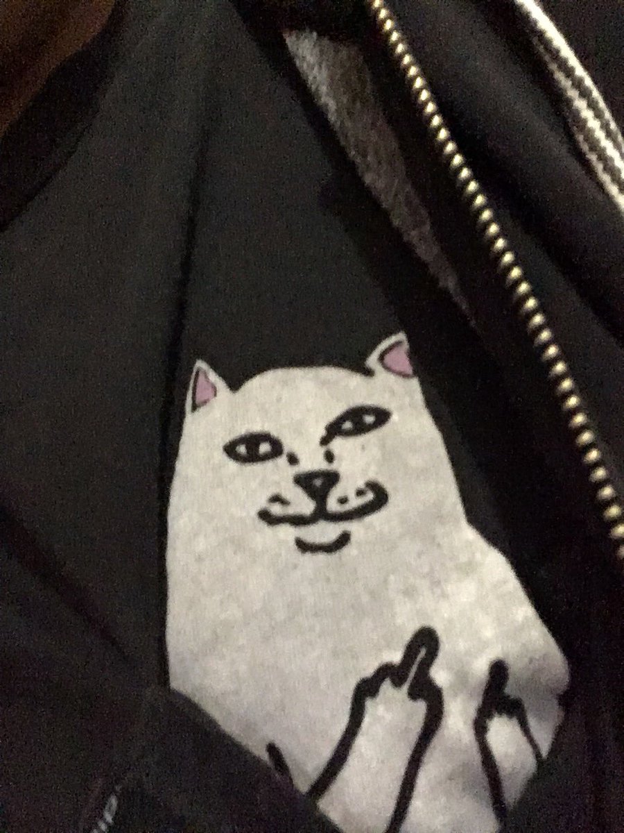 benjaminDeLonge's tweet photo. El gato troll se hace presente como dijera @LuisitoComunica #10MillonesdePilluelos https://t.co/vnLJ9xWqPc