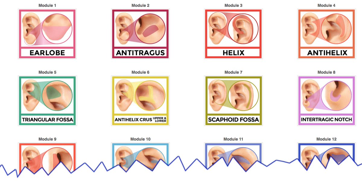 Ear Seeds Certification tweet media
