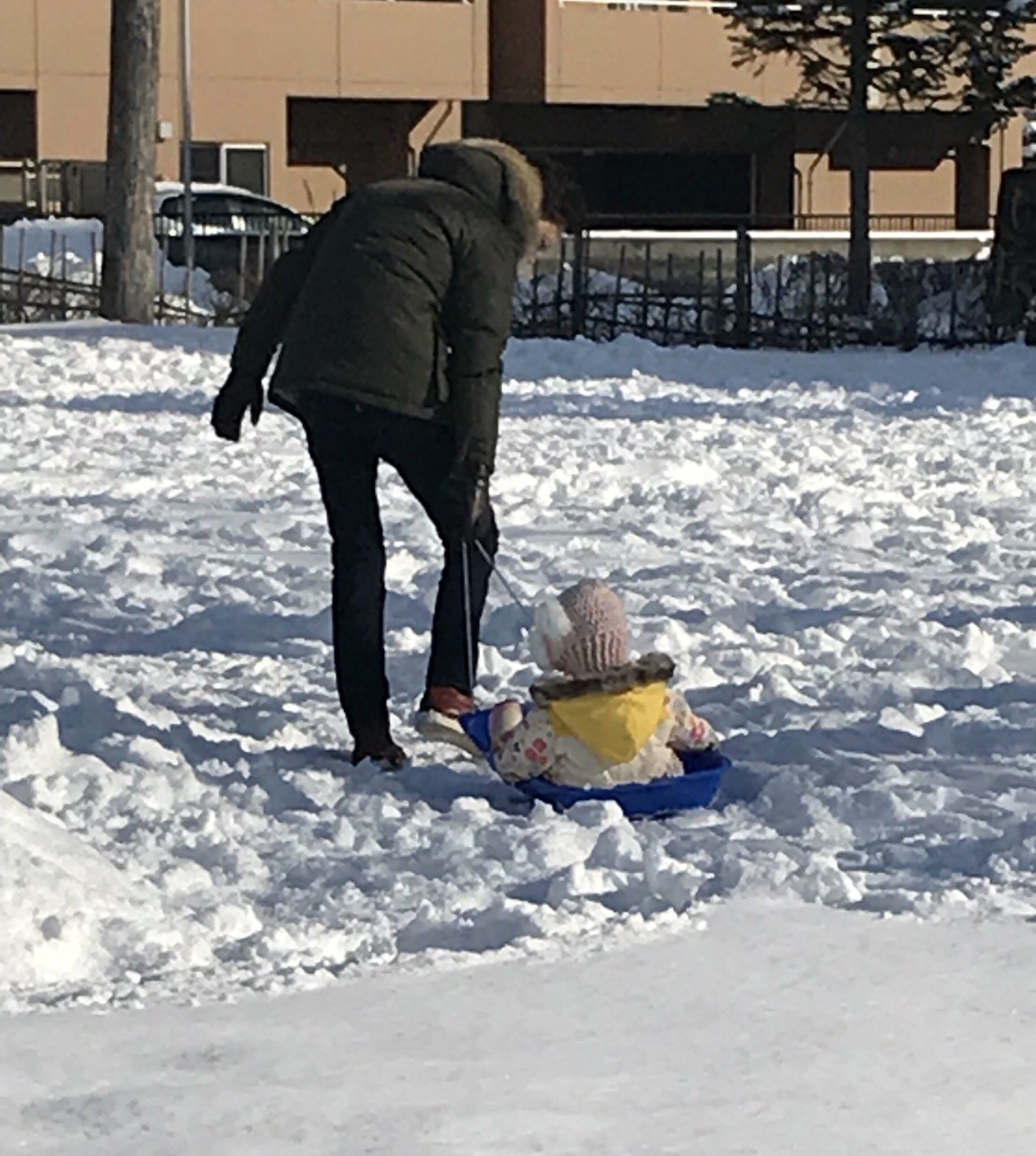 北乃カムイ 北海道のことなら 公式 北海道の冬はソリがベビーカー代わりになる 北海道あるある 坊やいい T Co Szol0ymltr Twitter