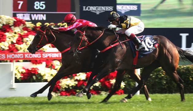 Racing's tweet photo. The boy from Bendigo Nash Rawiller has brought up his first Group 1 win in Hong Kong!
READ: https://t.co/NbscsKmExa https://t.co/vks0m4NJEi