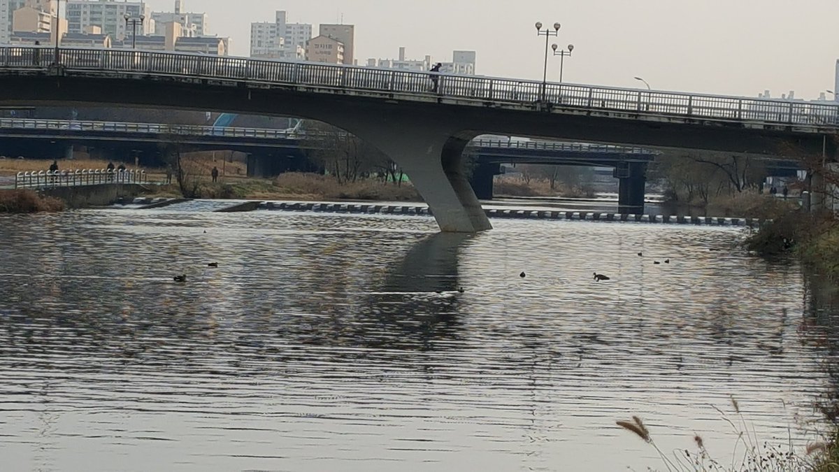 #성남시 하천관리과에서는 하천순찰 및

 Aㅣ
조류독감 순찰중입니다.

다행히 새들은 탄천에서 유영중임을 확인

하였으며 탄천시설물 및 공사현장

 확인중에있습니다.