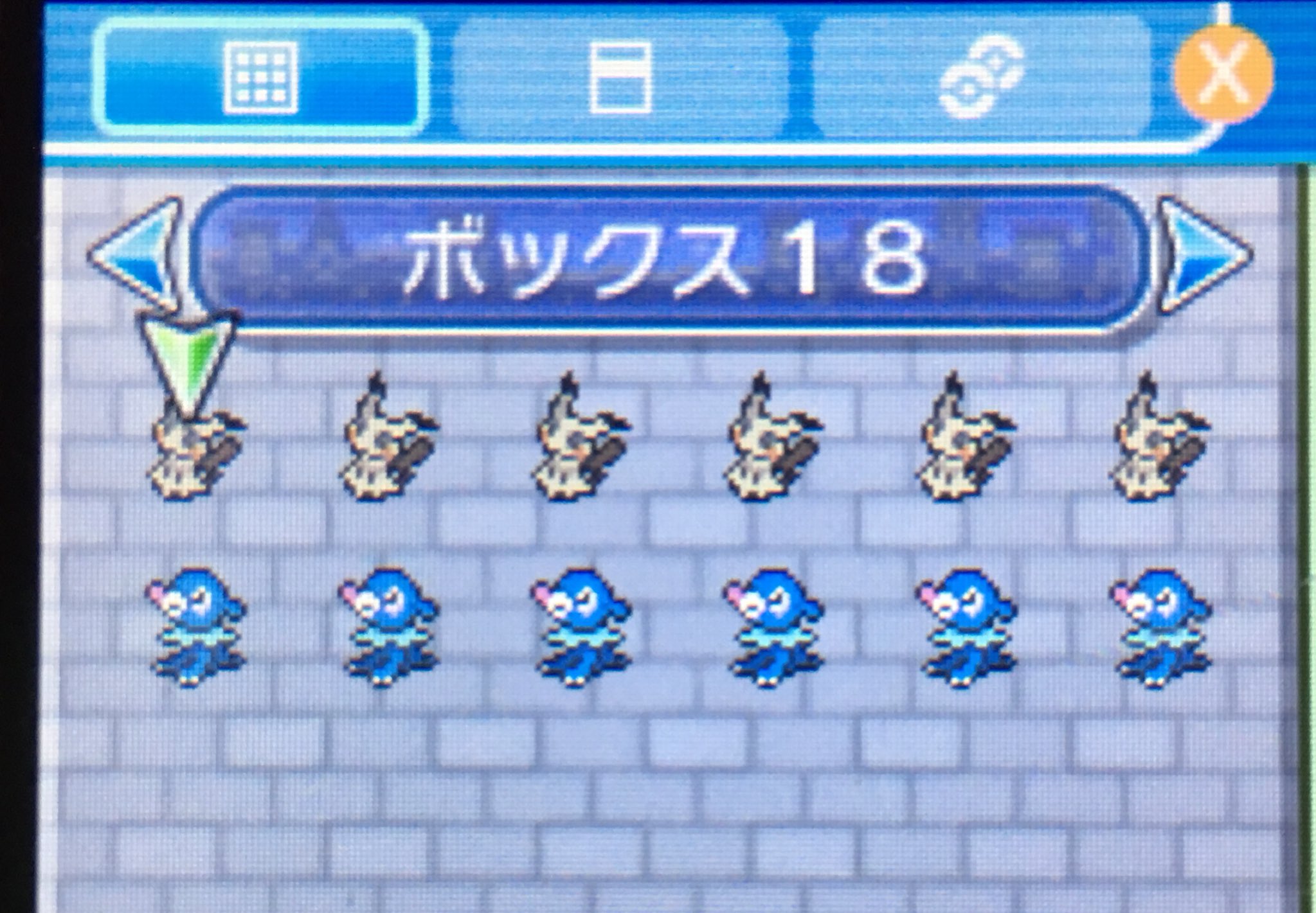 さとちゅー Satotyupikapika Twitter