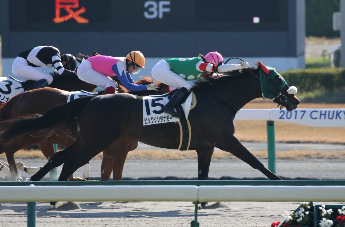 藤田菜七子
大外一気の差し切り勝ち！

ビックリシタナモー