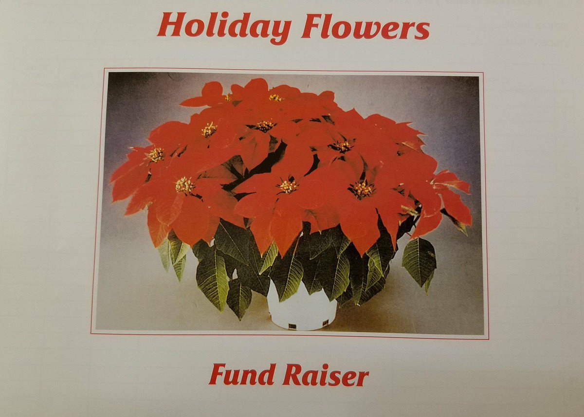 gardensbands's tweet photo. Get your Holiday Poinsettias from our Band. $20 and proceeds go to helping the band! Taking orders until Wednesday 12/13. See a band kid or Email: john.rodriguez.1@palmbeachschools.org if interested! #HappyHolidays #helptheband #yayband #helpabandkidtoday https://t.co/zCXoMdmpgl