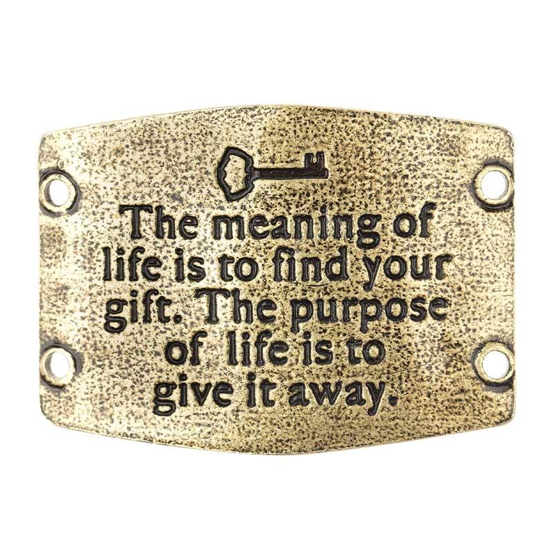 The meaning of life is to find your gift.  
The purpose of life is to give it away.  

#BeYourself #CarpeDiem #StrengthsFinder #DaringGreatly #BreneBrown