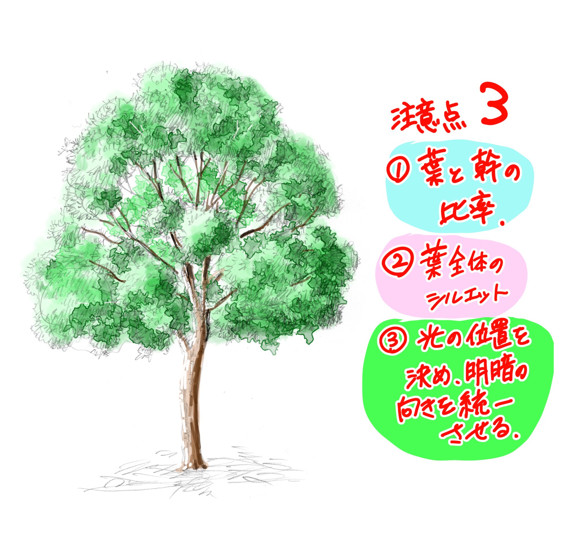 吉村拓也 イラスト講座 イラスト初心者でもすぐ描ける 木の描き方 たった2分間で立体感を1 引き出す 樹木の解説マニュアル 木が描けない人は見てみてね T Co 8ymrg3bilr Twitter