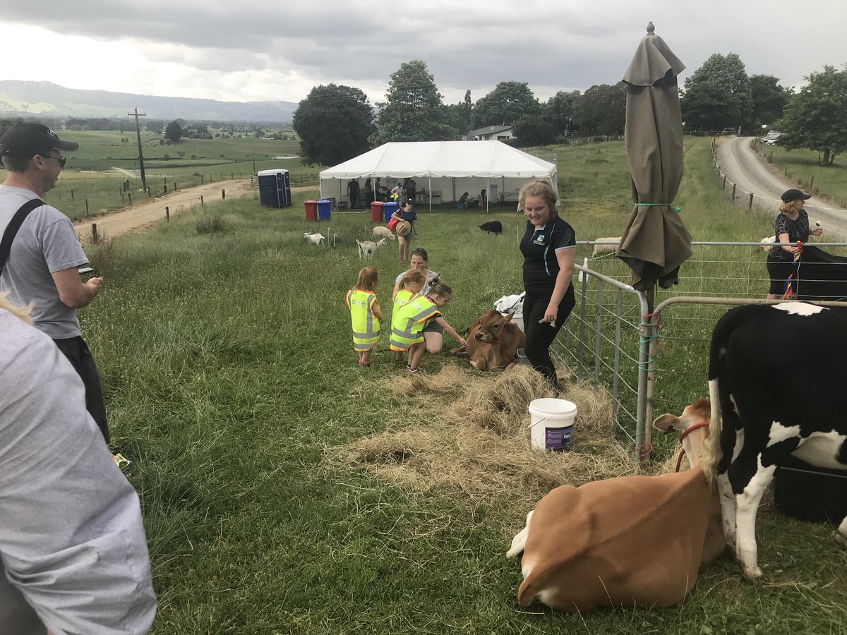 farmerjoNZ's tweet photo. Thanks to @nzjuls amazing @FonterraSHC for taking the time and effort today bring her lovely animals over to matamata for @Fonterra #opengates today at @TiroroaFarmsLtd they got so many pats ๐ #caredforcows #trustedgoodness #madebymany #haurakiplainsrepresent https://t.co/9fXAlzi8D0