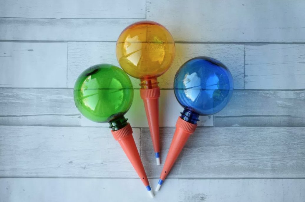 LaurettaCWright's tweet photo. Hopeless at keeping houseplants alive? Ruth @craftcartwright has the answer with these watering globes. Check out her review https://t.co/P57rgFYNJE #plants #interiorhack https://t.co/fnl8CDP3j1