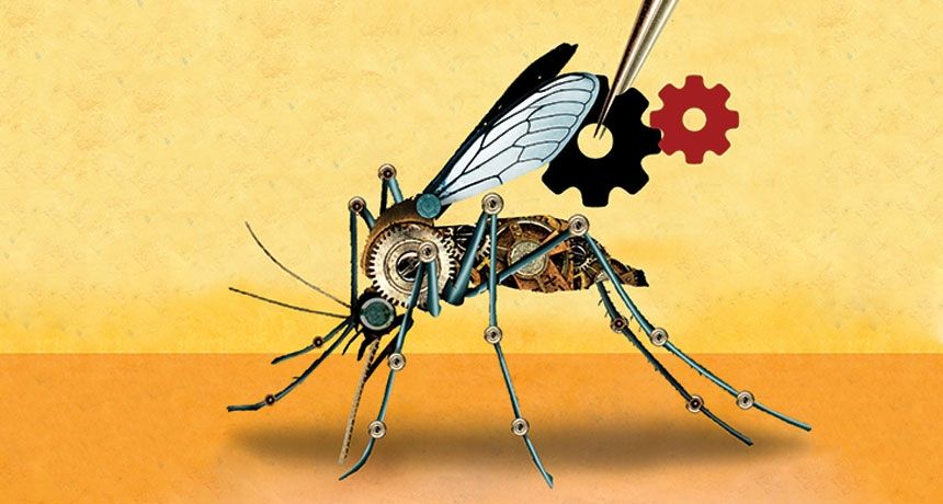 Gene-drive #technology needs thorough evidence-based scrutiny by @NatureNews  go.nature.com/2nNvlLk #innovation #health #medicine #environment #agriculture #species #ecosystems