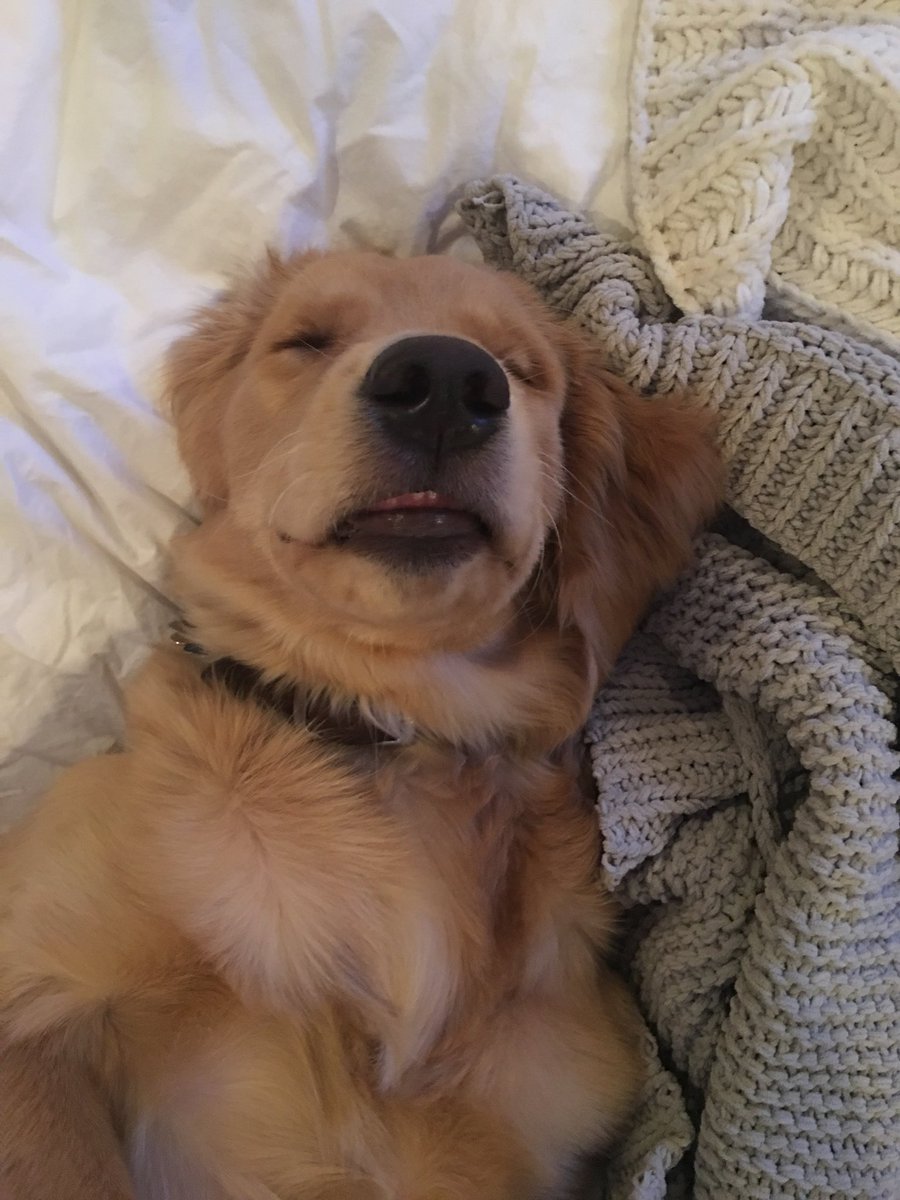 Maddi Bragg tweet media