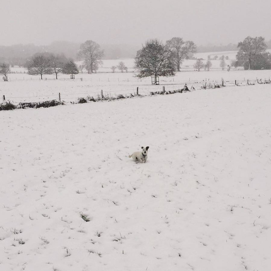 Gary happy to play in Coleshill Park this morning ift.tt/2AK1Ug0