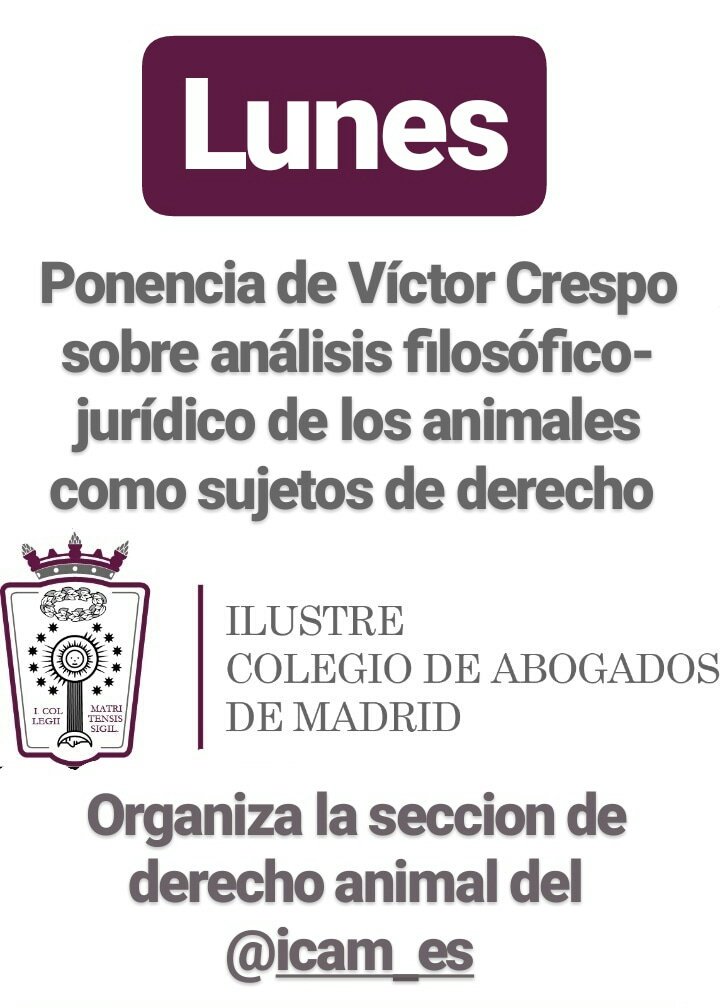 madrid_vegano's tweet photo. Mañana 📅 ponencia de Víctor Crespo sobre análisis filosófico-jurídico de los animales como sujetos de derecho ℹ https://t.co/LyMxjoGf7D Organiza la sección de derecho animal del @icam_es 📚 #AgendaMV #DIDA2017 #DíaDerechosAnimales https://t.co/NxFeSGfs5U