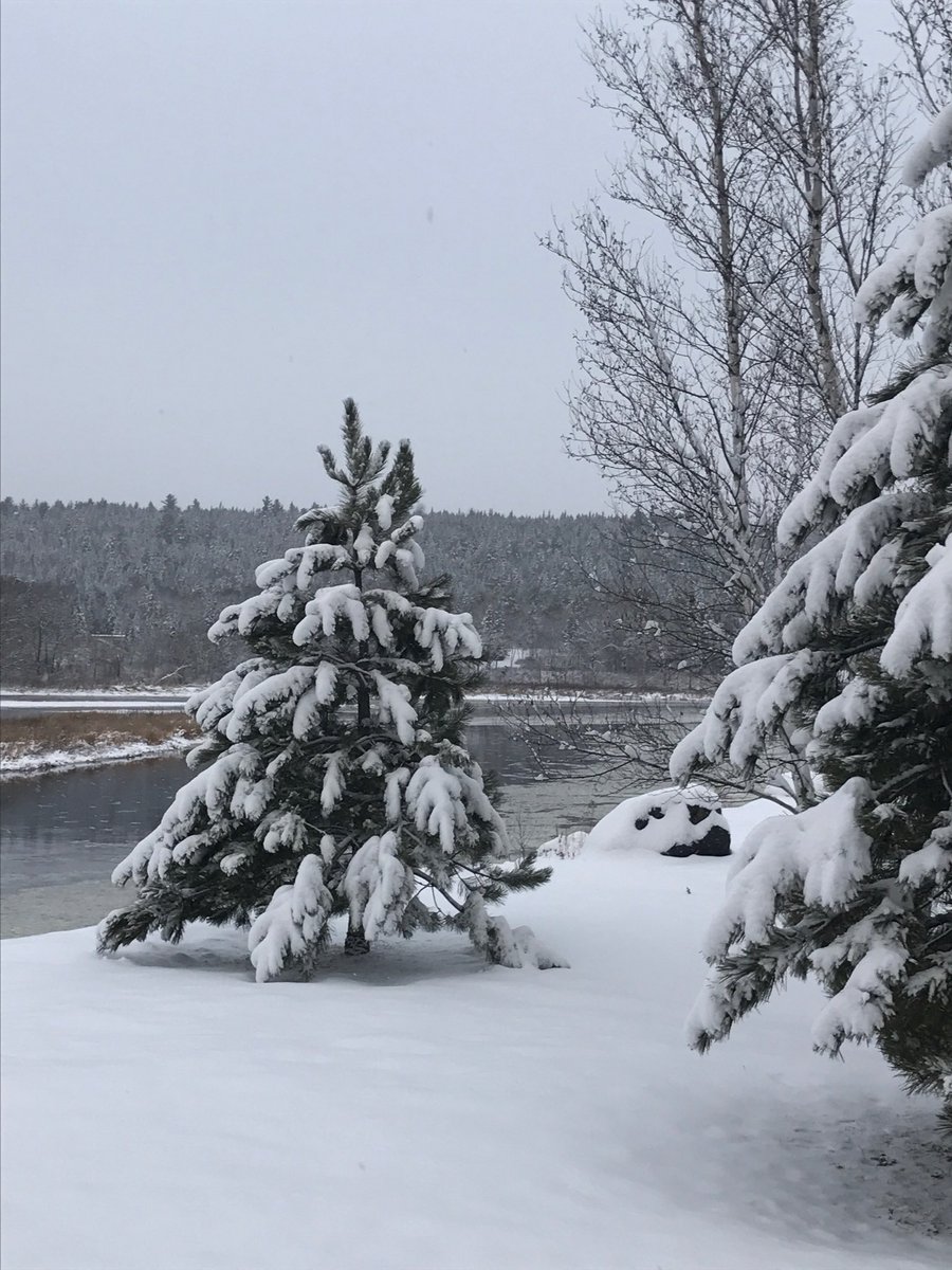 Matchettfb's tweet photo. Beautiful winter morning โ๏ธ#Miramichi #sledbase ๐ https://t.co/6zWs4WJho1