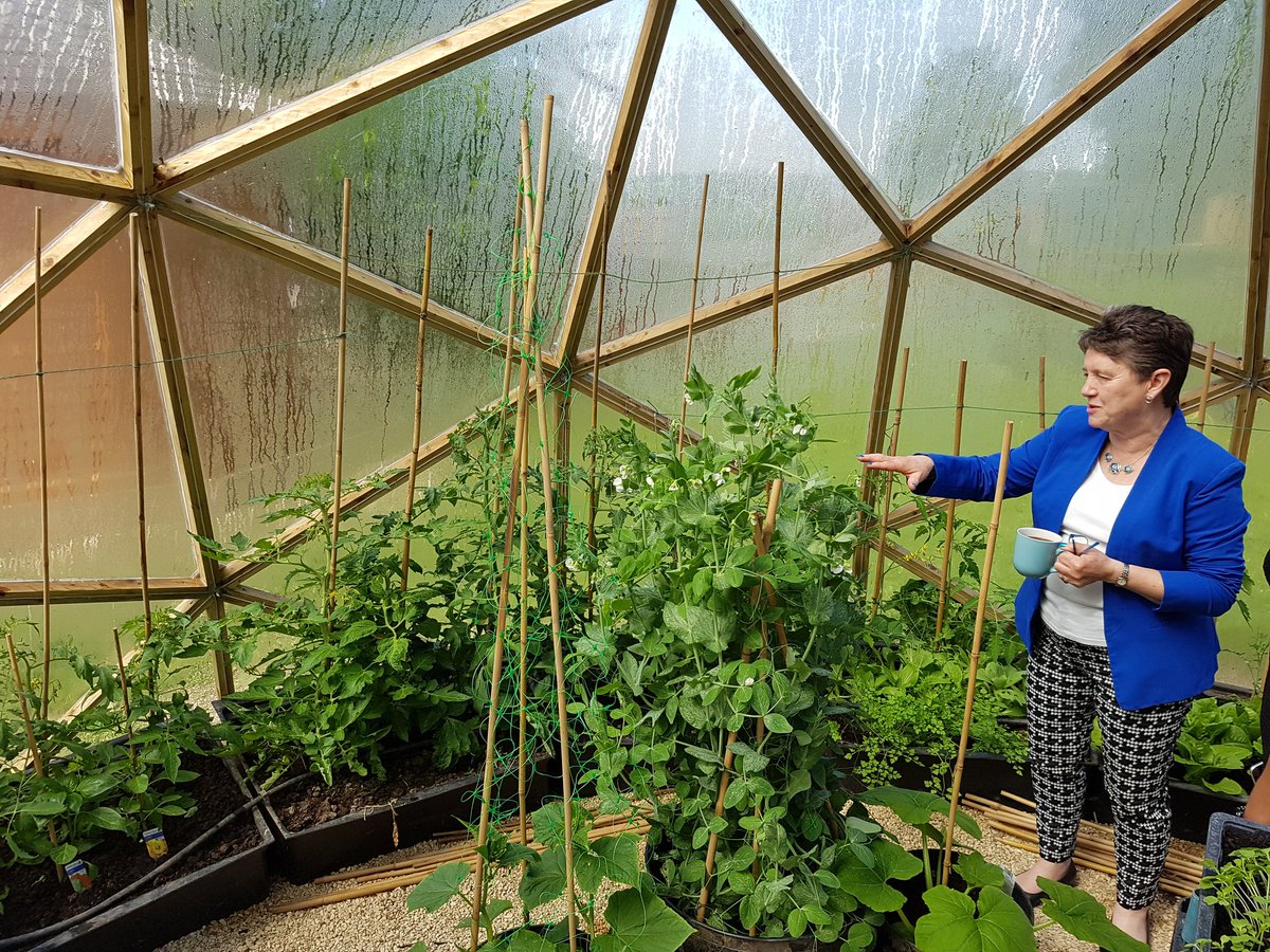 Tamworth Farm (TamworthFarm) Twitter