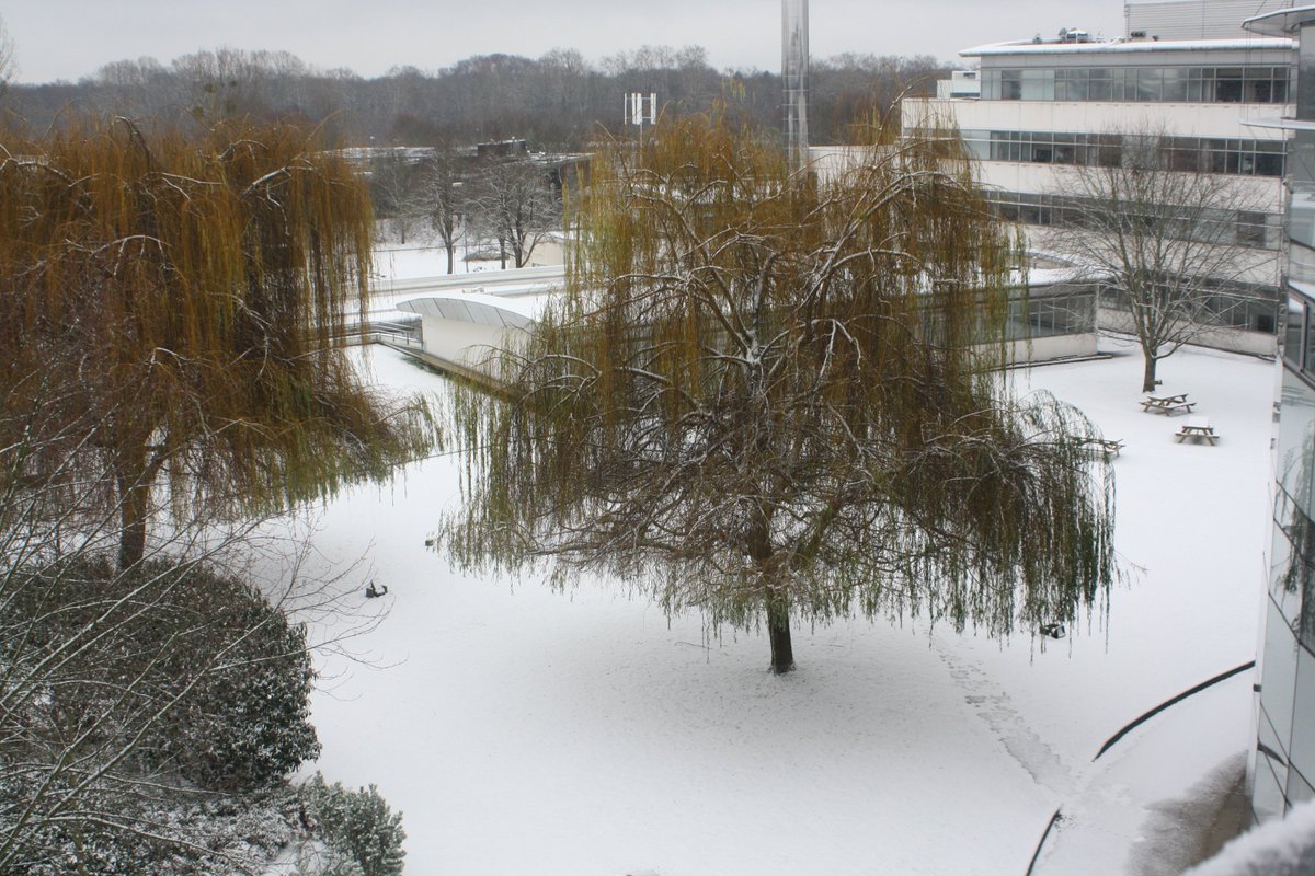 AAE_TelecomPS's tweet image. Ce dimanche, il a neigé sur #TélécomPS...