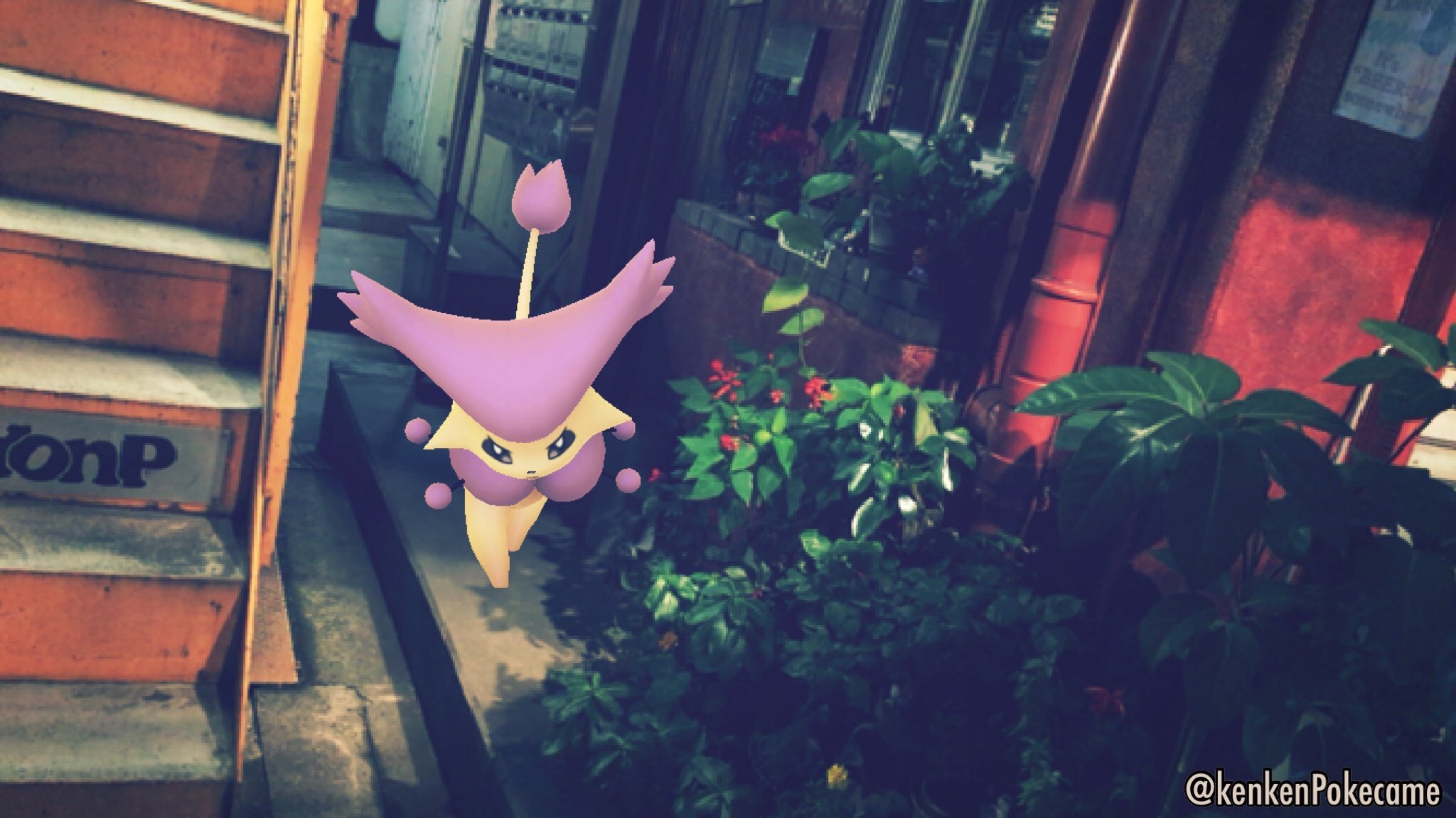Twitter এ Kenken 夜街のエネコロロ ポケモンar写真大会 エネコロロ Enekororo Pokemongo ポケモンgo ポケモン写真 ポケモンgo写真 ポケモンar写真 ポケモンgoar写真 ポケットモンスター Poketmonster ポケモン Pokemon Niantic Pokemongophotos