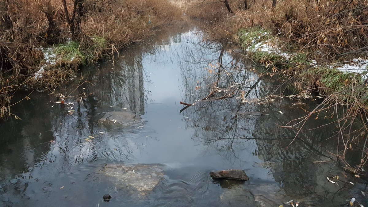 오후 5시경 성남시청 당직실에서

 매화마을 106동앞에서 기름이

 유입된다는 민원이있어 현장확인조치

하였습니다 #성남시 #하천관리과