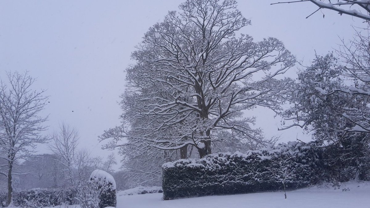 therhysstewart's tweet photo. Just the odd 8 inches of #uksnow might have to clear the roof on #operationcaravan in case it collapses ๐๐ https://t.co/kayMZ65mBq