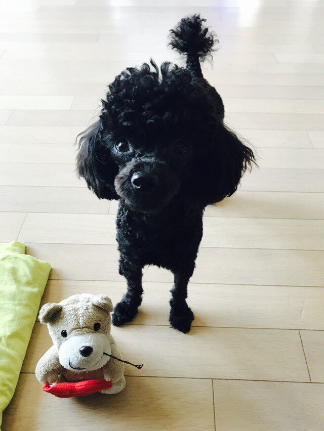 mongryongtwt's tweet photo. https://t.co/njwZu4b3p9