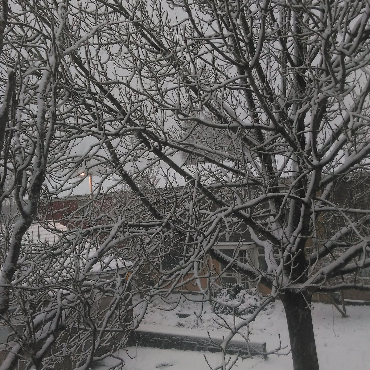 Beckyedmonds7's tweet photo. #snow https://t.co/PvSQNYpnkL