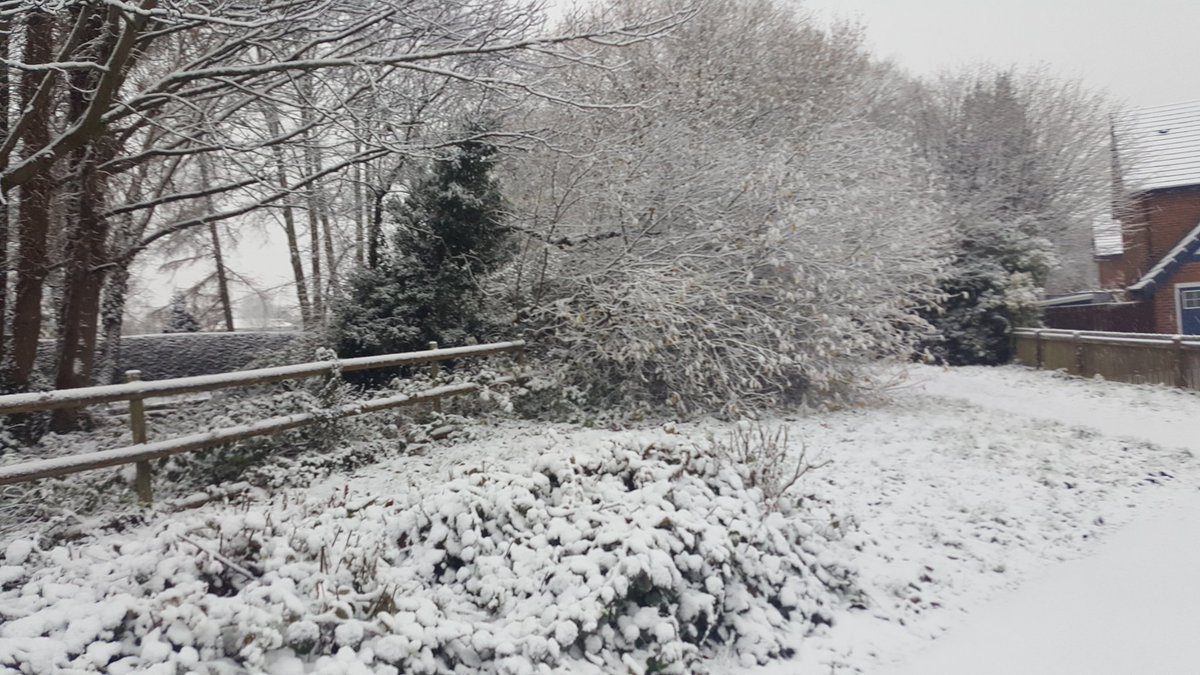 JakeClicky's tweet image. It's starting to feel like Christmas  here in Chester ❄☃️