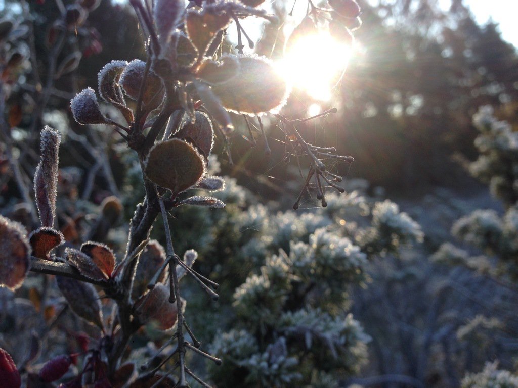 Winter is coming - we're taking a stroll around wintery Estonia today. What about you? ift.tt/2jEycC9