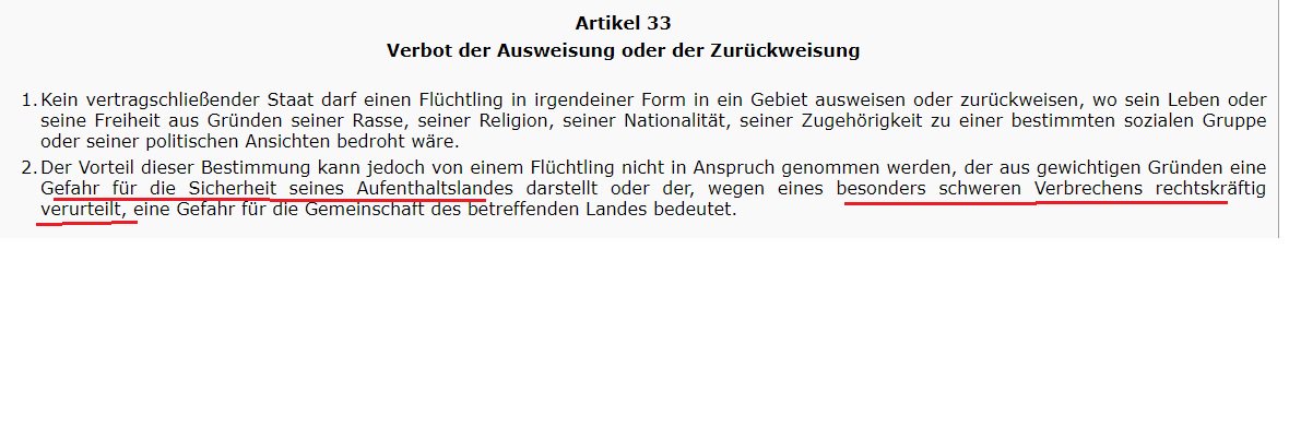 Kleine Erinnerung zum #TagderMenschenrechte:
Gefährder und Verbrecher haben kein Recht auf Schutz und Asyl!
(Genfer Konvention)