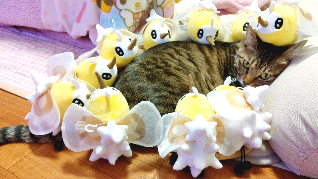 ゆー ねこ キジトラ アブリー ポケモン ウルトラサンムーン T Co Jk5jwq942d Twitter