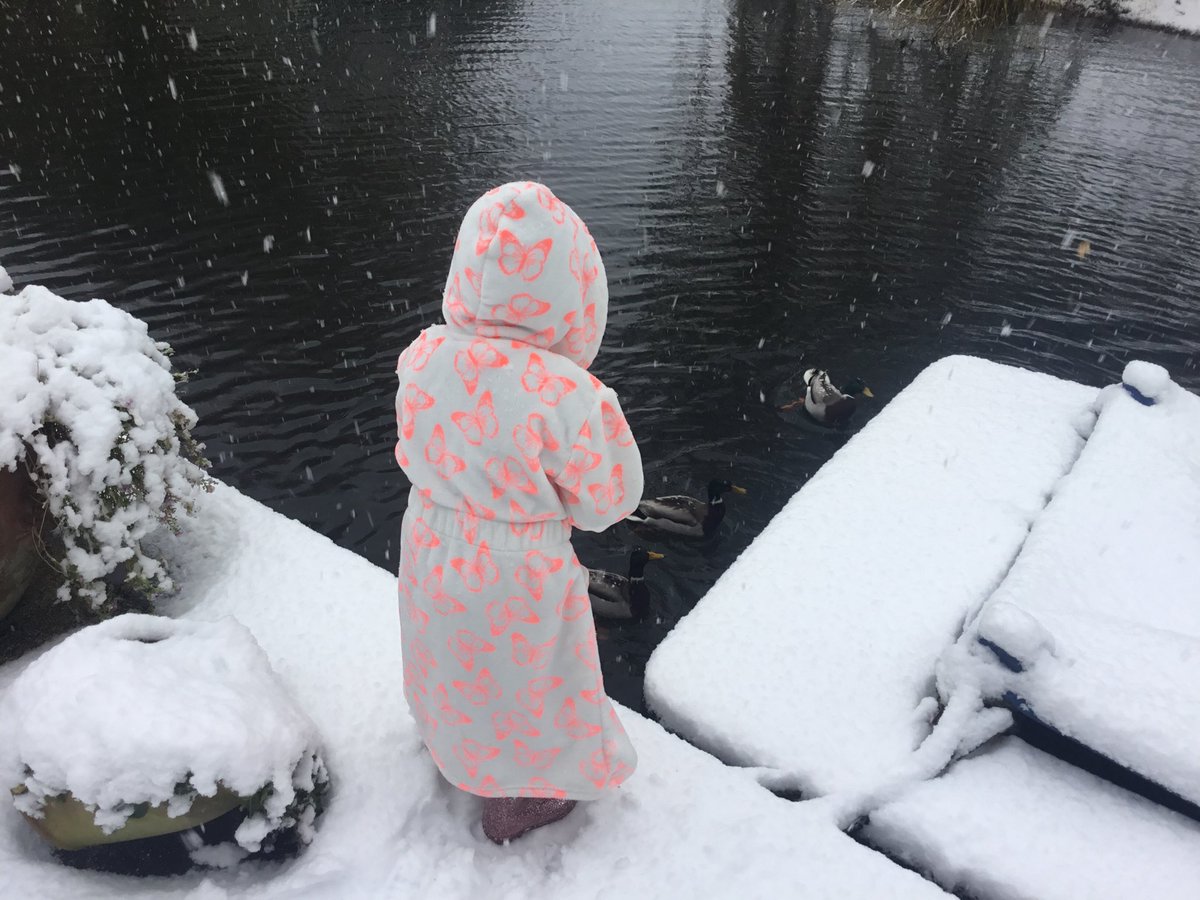 An ewok feeding the ducks in the snow She is