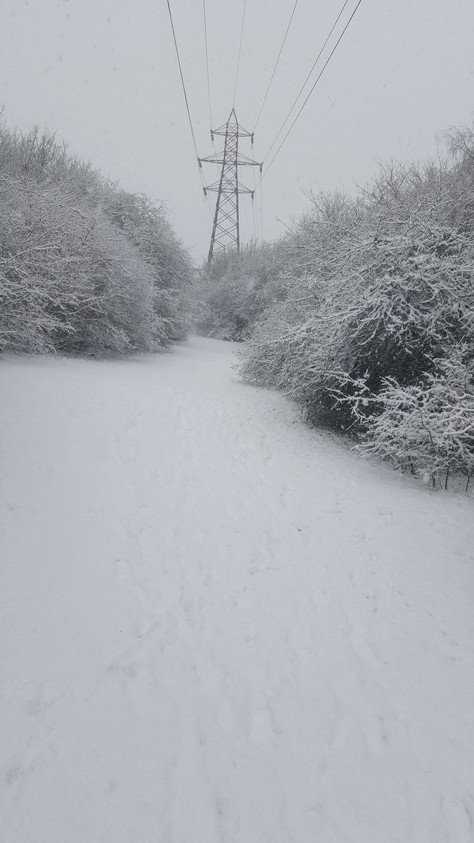 WarhamY's tweet photo. @stukeleymeadows  Lola the soon to be snow dog #StukeleySnow https://t.co/T0TMMzFXAv