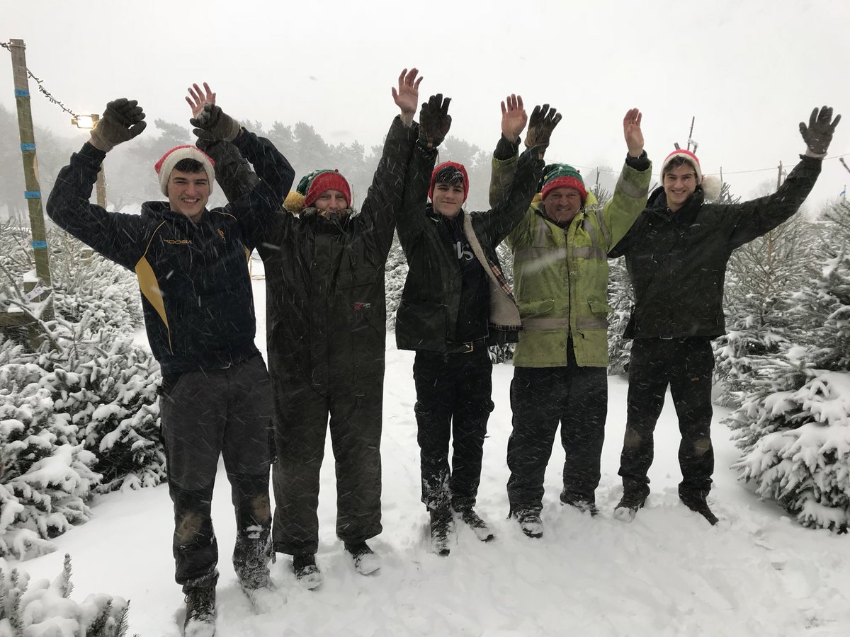 Bradgate Trees tweet media