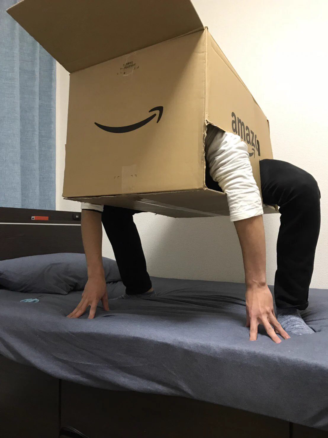 ダンボールのサイズがちょうど良すぎるww入ろうと思った人もすごいけどww