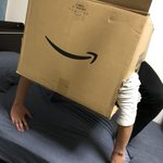 ダンボールのサイズがちょうど良すぎるw入ろうと思った人もすごいけどw