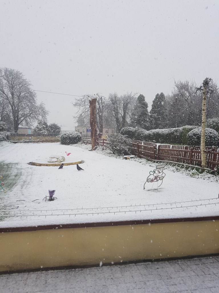 holdenvanessa's tweet photo. Do you want to build a Snowman!!, #decembersnow, #tistoocold #icantwaitforsummer https://t.co/oI3mDZRHXP