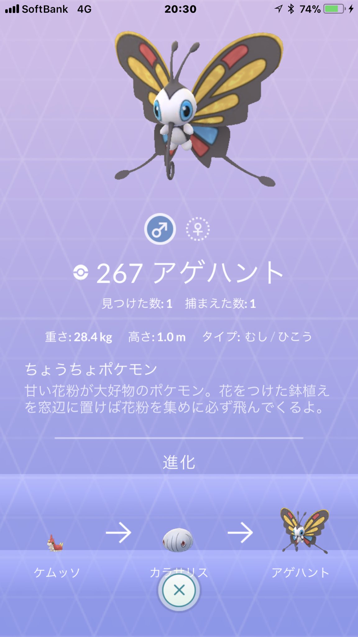 猫の飼い主 En Twitter ポケモンgo カラサリスのオスからアゲハントのオスに進化させた T Co Ye7jj5003h Twitter