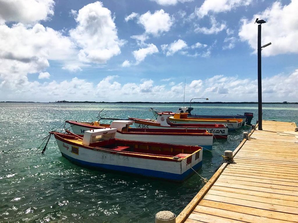 Fresh fish transportation! 

Pic by <a href="/francesca_in/">Francesca Indigeno</a>
#aruba #discoveraruba #onehappyisland