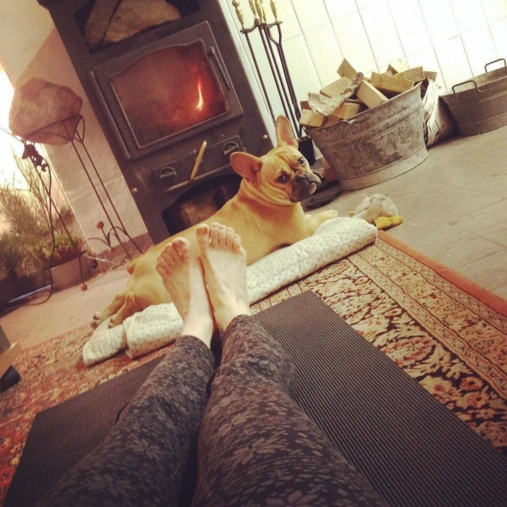 MyChiBusiness's tweet photo. Yoga doggie mascot ❤️ #mychi #yoga #energeticjewelry #energize #raiseyoursenses https://t.co/Zji7lDtV72 https://t.co/5tysLijaVH