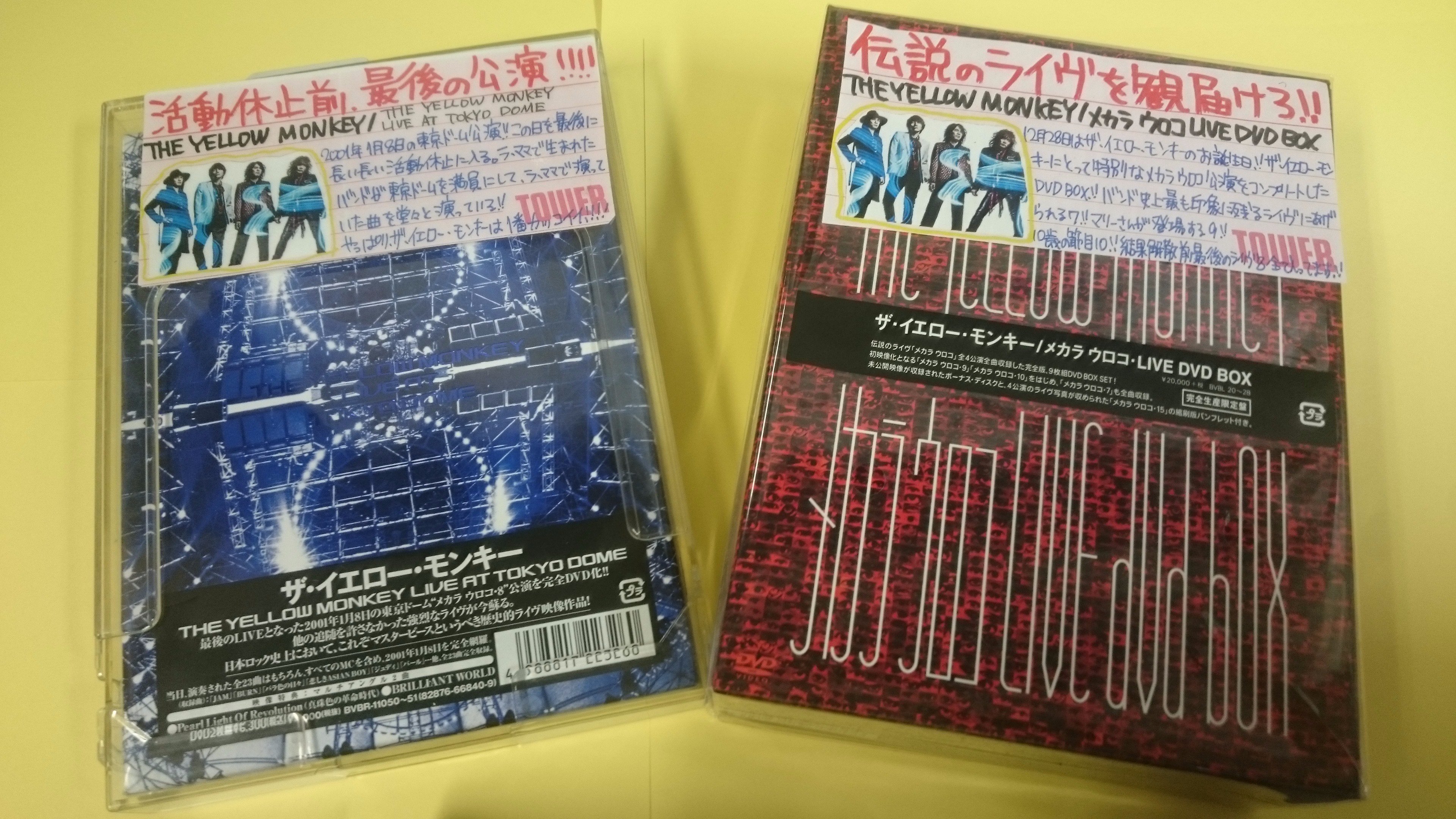 人気定番 YELLOW THE MONKEY MONKEY YELLOW 8枡セット（THE 記念枡 TOUR ミュージシャン