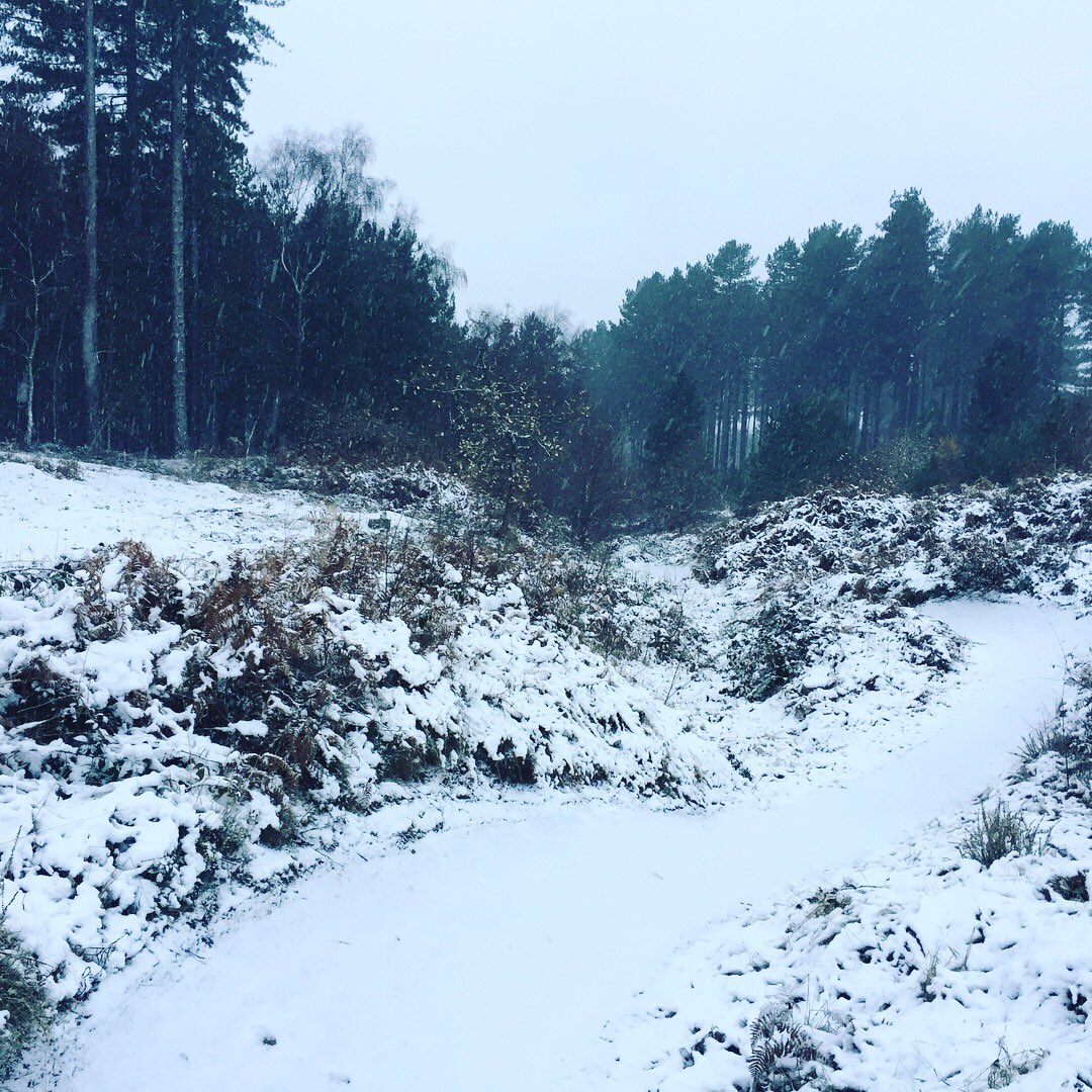 Lee Eaton tweet media