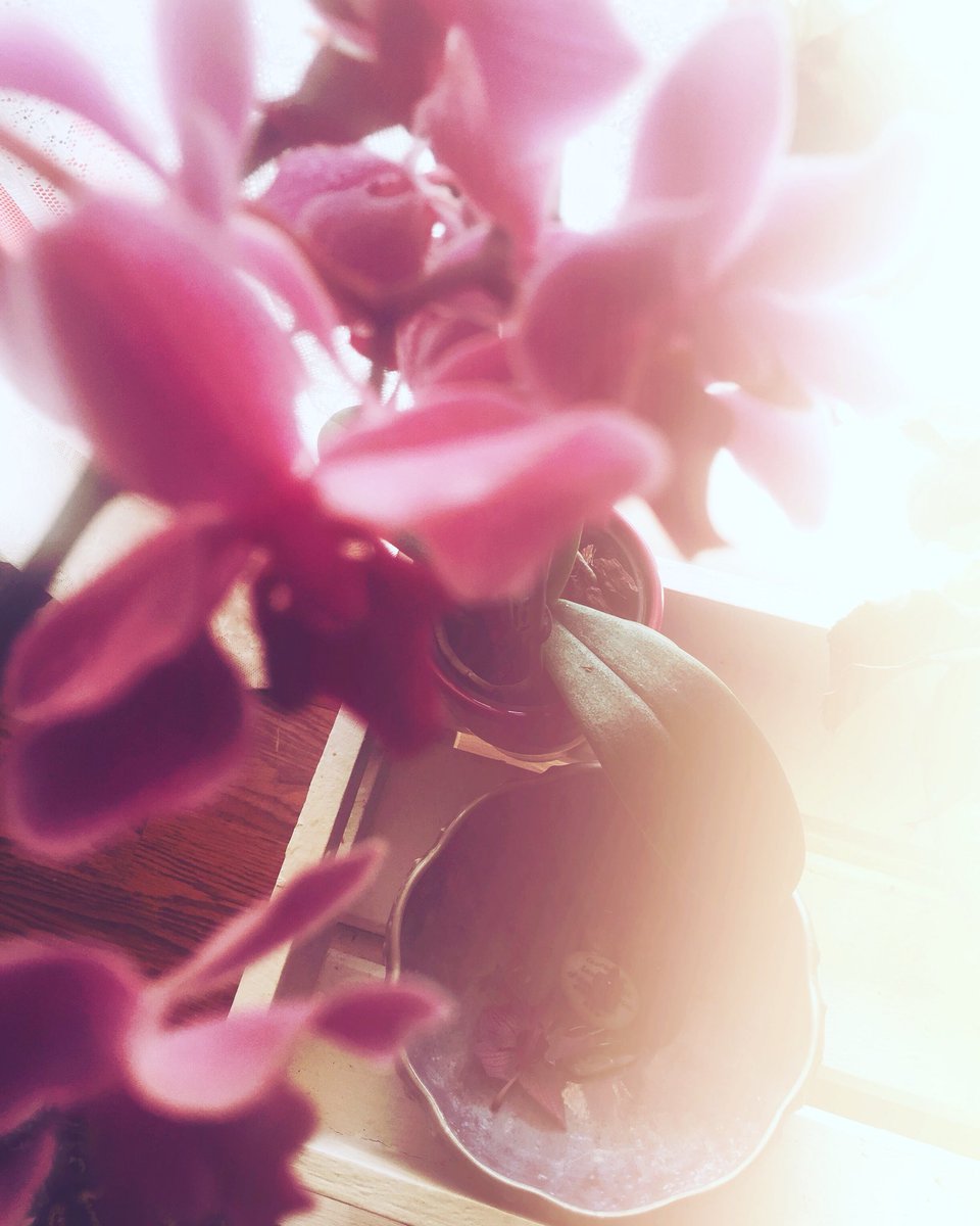 feminineboudoir's tweet image. Μπορείς να φτιάξεις μικρούς βωμούς παντού...Το 2017 ολοκληρώνεται με μαθήματα, συναισθήματα, ανθρώπους, στιγμές...Άστα στο φως✨
.
#SparklingDecember #feminineboudoir #myfeminineboudoir #femininerituals #thefemininedays2017