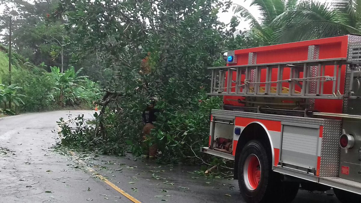 <a href="/Bomberosbocas/">Bomberos bocas</a> atiende emergencia por árbol caído sobre la Vía en Loma Muleto, Carretera a Almirante.